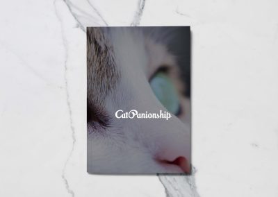 CatPanionship